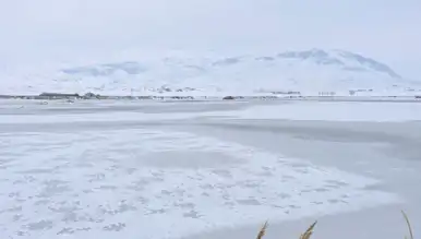 Doğu Anadolu'da Göl Buz Tuttu: Kuşlar Tehlikede!